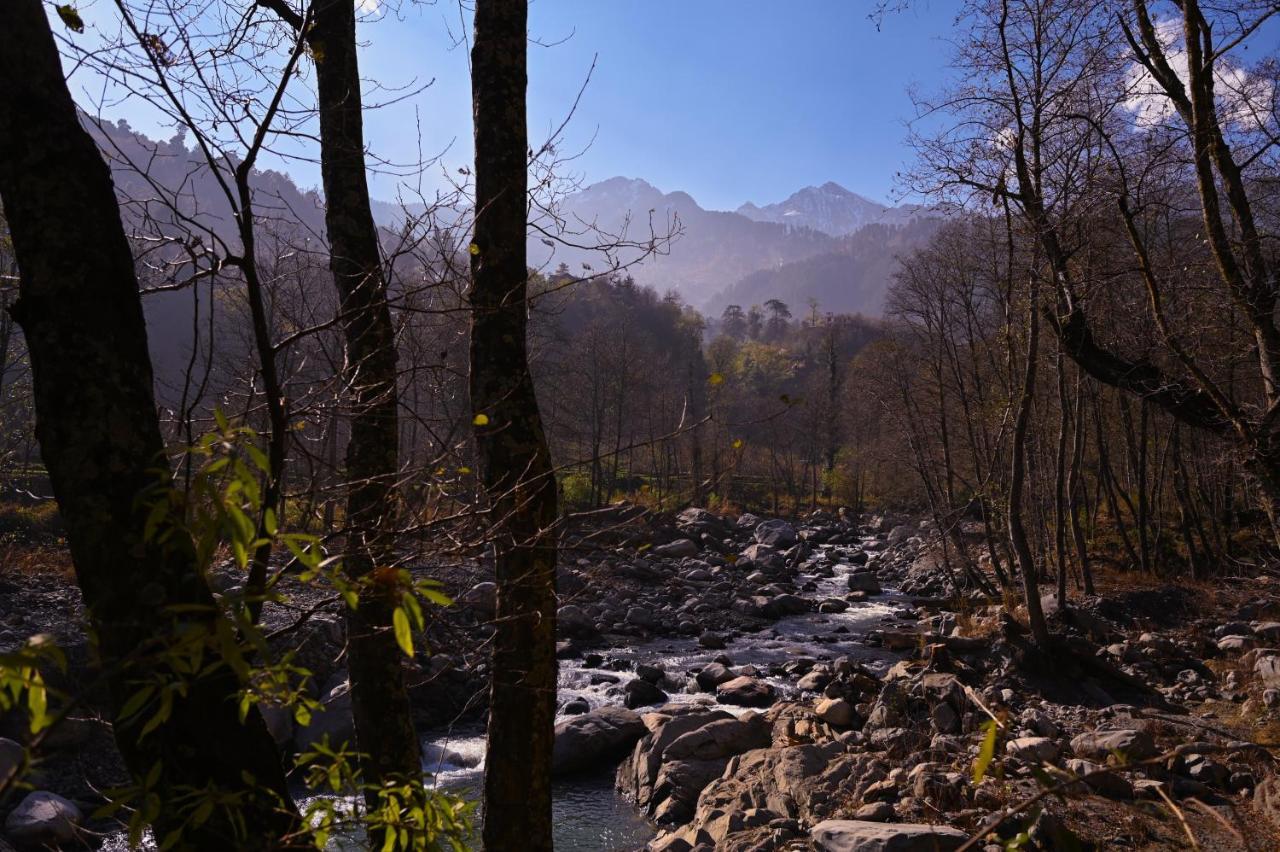 Ostello Zostel Dobhi, Manali Nagar  Esterno foto