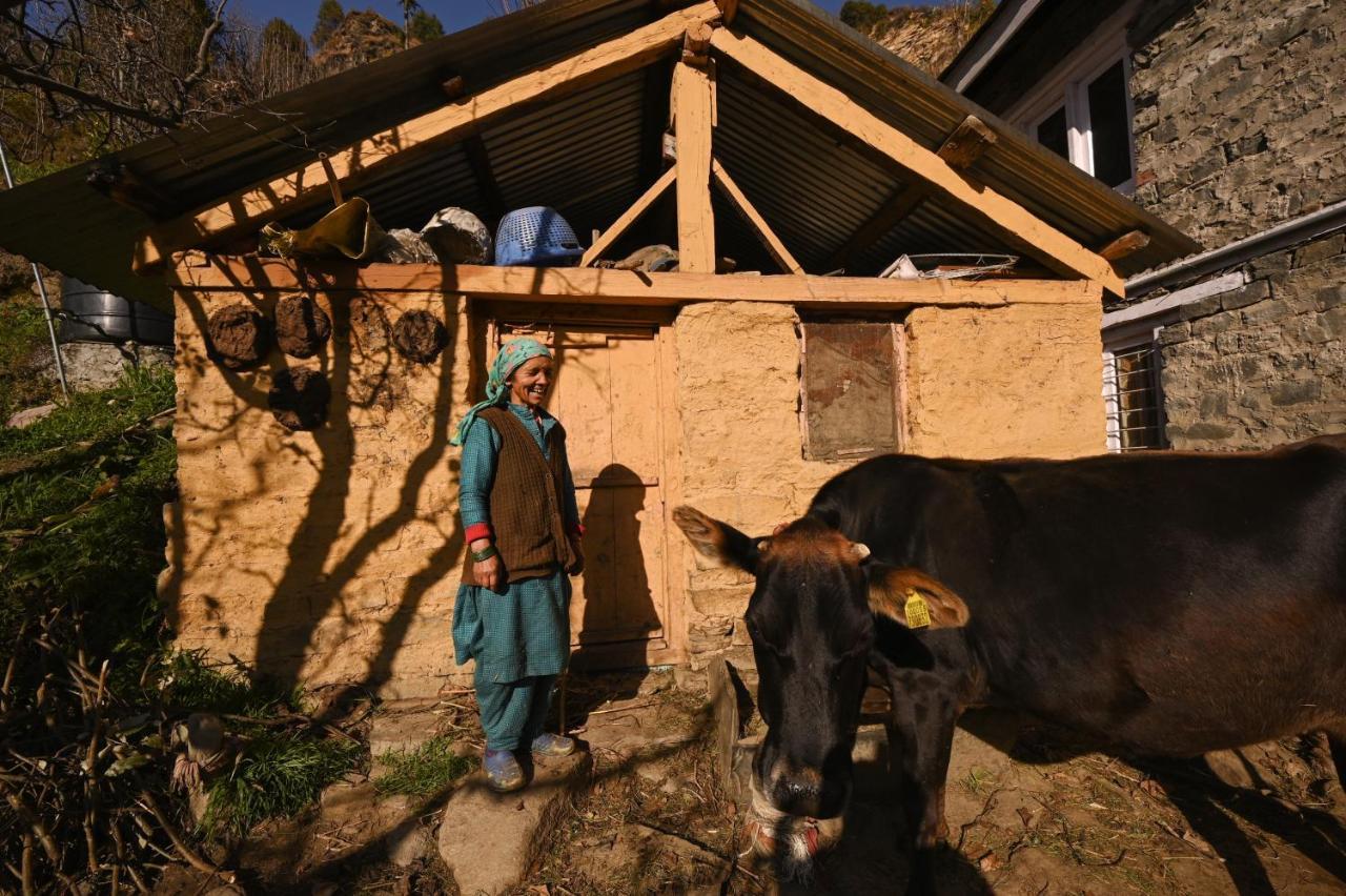 Ostello Zostel Dobhi, Manali Nagar  Esterno foto