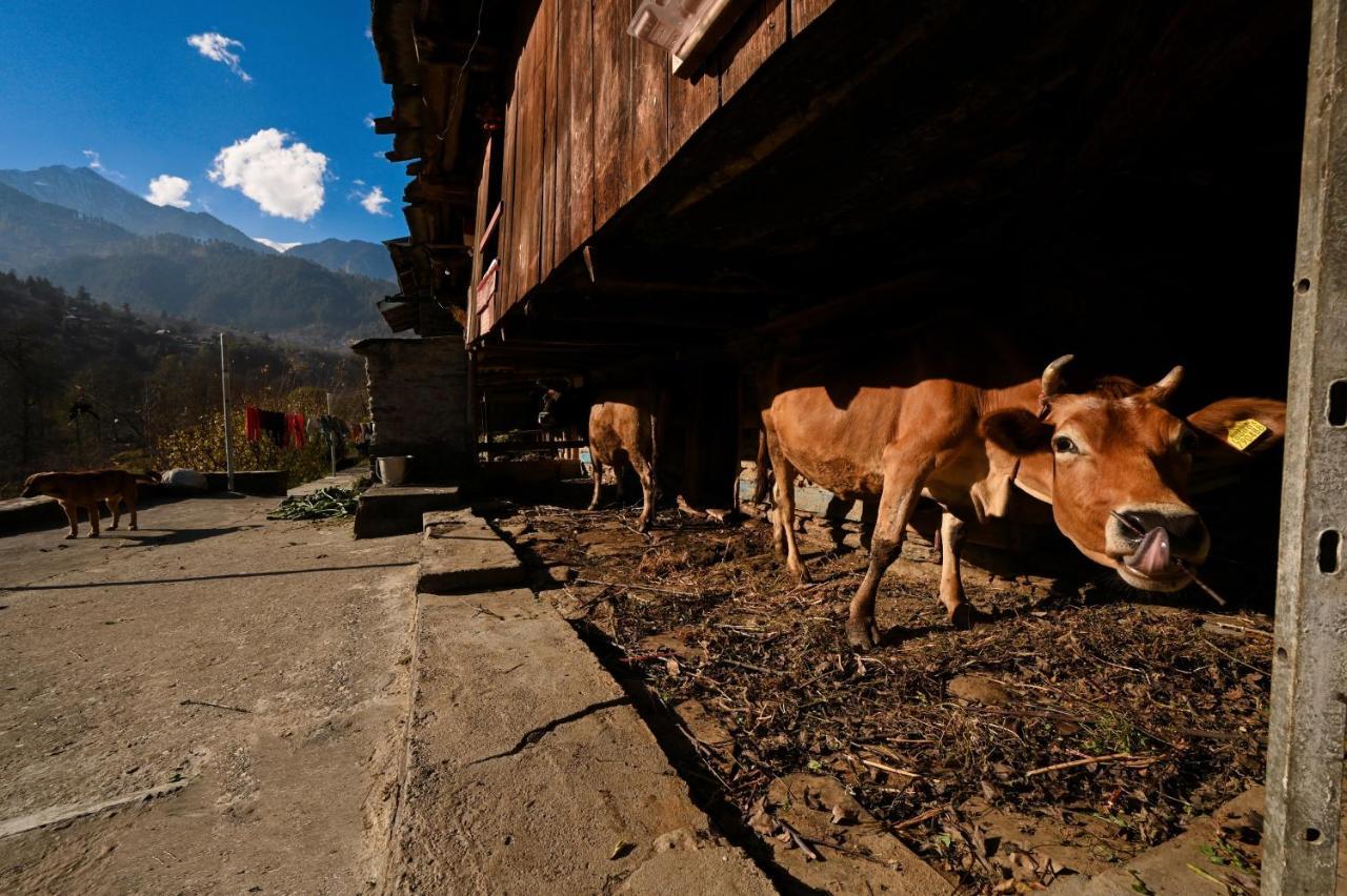 Ostello Zostel Dobhi, Manali Nagar  Esterno foto