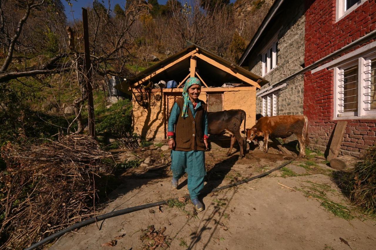 Ostello Zostel Dobhi, Manali Nagar  Esterno foto