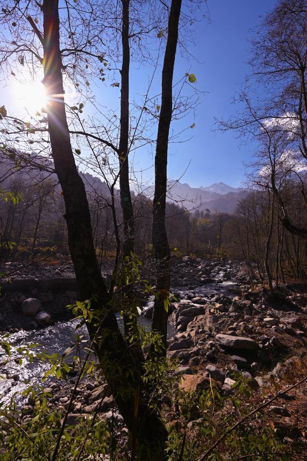 Ostello Zostel Dobhi, Manali Nagar  Esterno foto